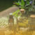 Layanan-Home-Massage-Profesional-di-Bali